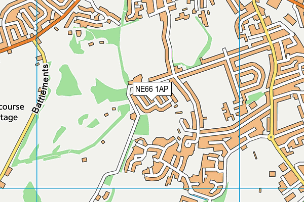 NE66 1AP map - OS VectorMap District (Ordnance Survey)