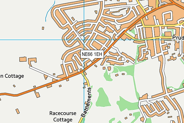 NE66 1EH map - OS VectorMap District (Ordnance Survey)