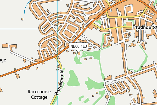 NE66 1EJ map - OS VectorMap District (Ordnance Survey)