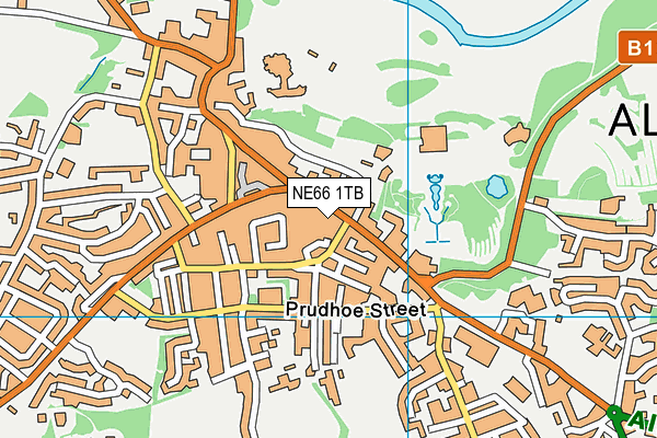 NE66 1TB map - OS VectorMap District (Ordnance Survey)