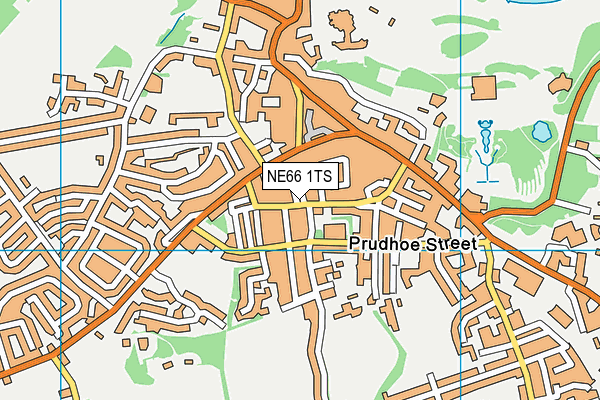 NE66 1TS map - OS VectorMap District (Ordnance Survey)