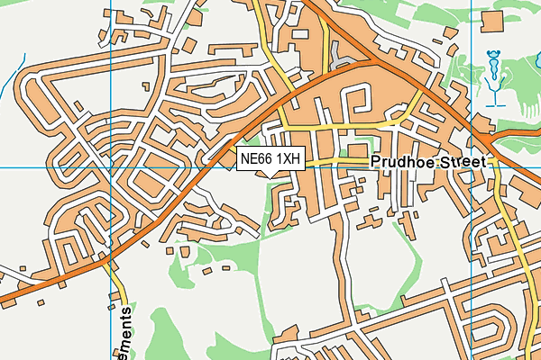 NE66 1XH map - OS VectorMap District (Ordnance Survey)