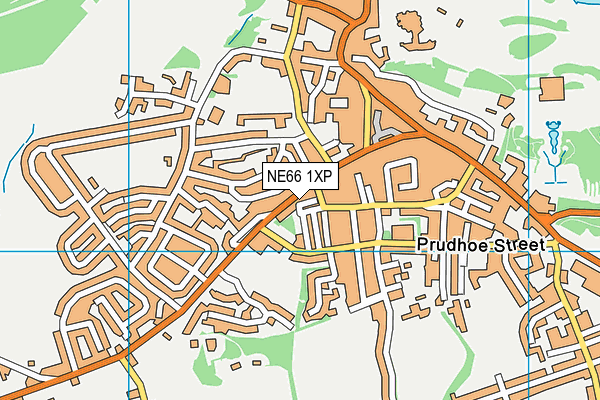 NE66 1XP map - OS VectorMap District (Ordnance Survey)