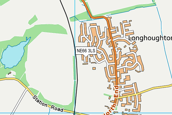NE66 3LS map - OS VectorMap District (Ordnance Survey)