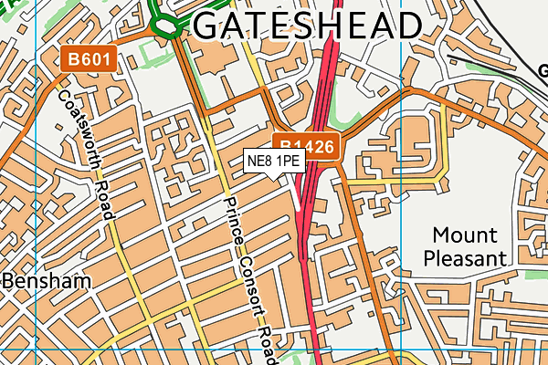 Swallow Leisure (Gateshead) (Closed) map (NE8 1PE) - OS VectorMap District (Ordnance Survey)