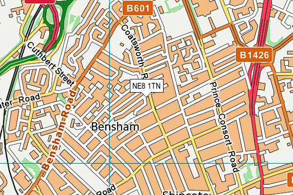 NE8 1TN map - OS VectorMap District (Ordnance Survey)