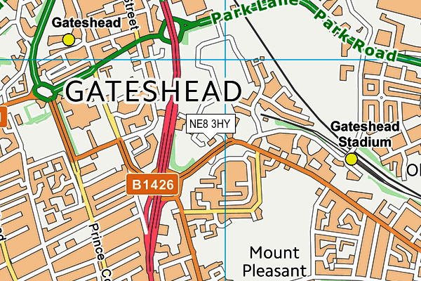 The Gateshead Cheder Primary School map (NE8 3HY) - OS VectorMap District (Ordnance Survey)