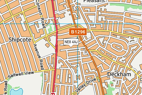 NE8 4AJ map - OS VectorMap District (Ordnance Survey)