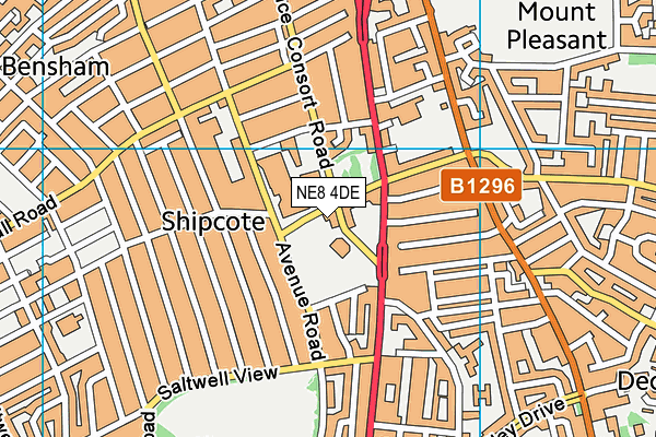 NE8 4DE map - OS VectorMap District (Ordnance Survey)