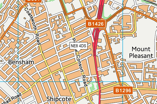 NE8 4DS map - OS VectorMap District (Ordnance Survey)