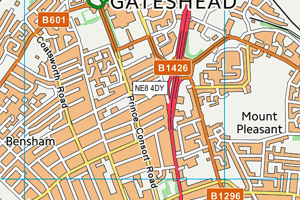 Gateshead Indoor Bowls Club map (NE8 4DY) - OS VectorMap District (Ordnance Survey)