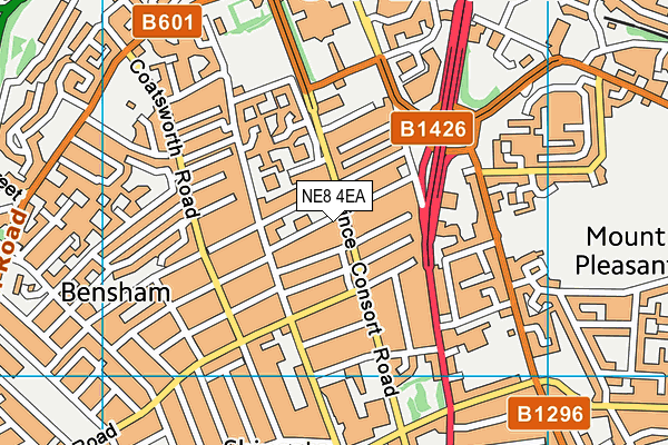 Gateshead Jewish Primary School map (NE8 4EA) - OS VectorMap District (Ordnance Survey)