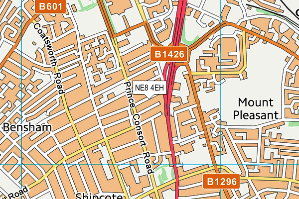 NE8 4EH map - OS VectorMap District (Ordnance Survey)