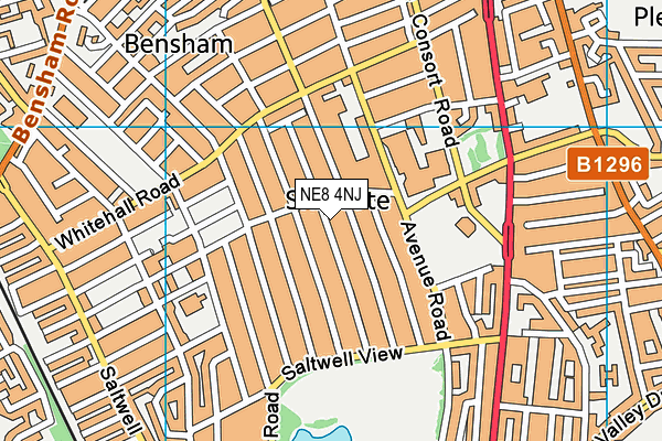 NE8 4NJ map - OS VectorMap District (Ordnance Survey)