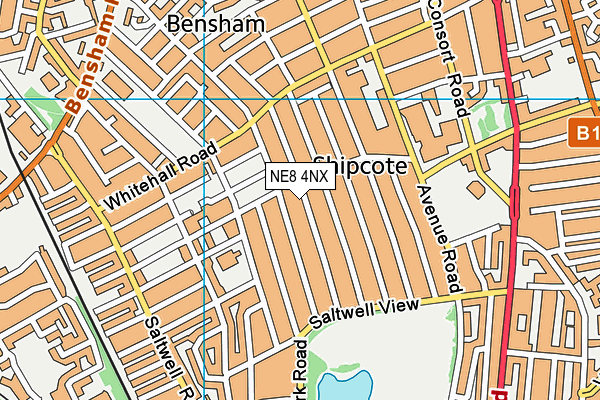NE8 4NX map - OS VectorMap District (Ordnance Survey)