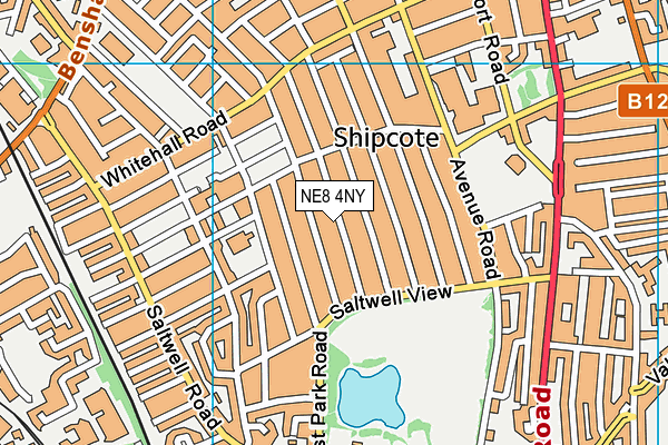 NE8 4NY map - OS VectorMap District (Ordnance Survey)