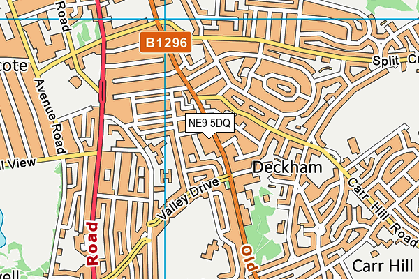 NE9 5DQ map - OS VectorMap District (Ordnance Survey)