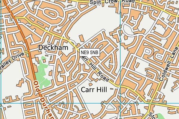Carr Hill Community Primary School map (NE9 5NB) - OS VectorMap District (Ordnance Survey)