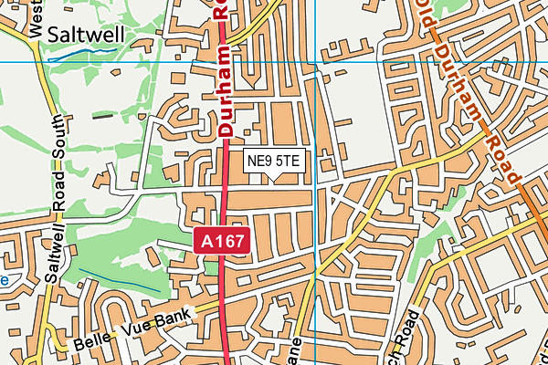 NE9 5TE map - OS VectorMap District (Ordnance Survey)