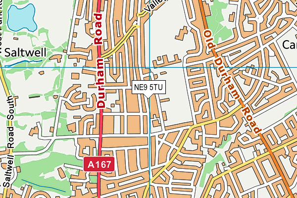 St Peter's Catholic Primary School, Low Fell map (NE9 5TU) - OS VectorMap District (Ordnance Survey)