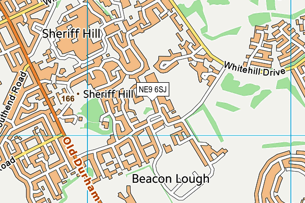 NE9 6SJ map - OS VectorMap District (Ordnance Survey)