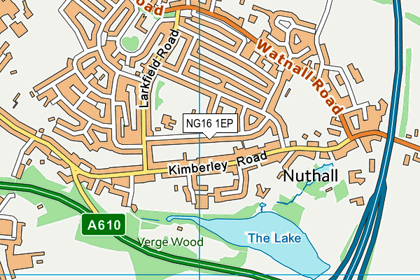Larkfields Junior School map (NG16 1EP) - OS VectorMap District (Ordnance Survey)