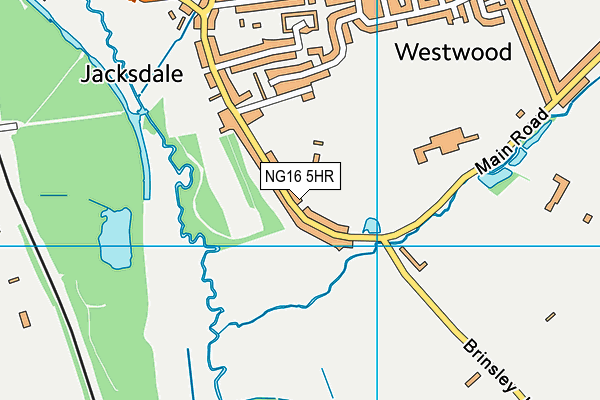 The Dale Club map (NG16 5HR) - OS VectorMap District (Ordnance Survey)