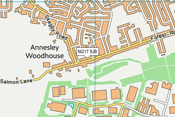 NG17 9JB map - OS VectorMap District (Ordnance Survey)
