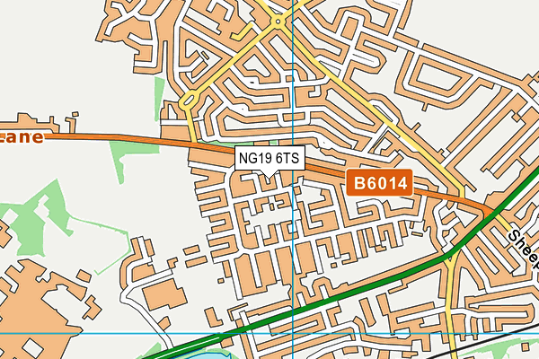NG19 6TS map - OS VectorMap District (Ordnance Survey)