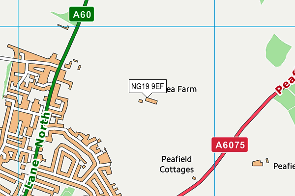 NG19 9EF map - OS VectorMap District (Ordnance Survey)