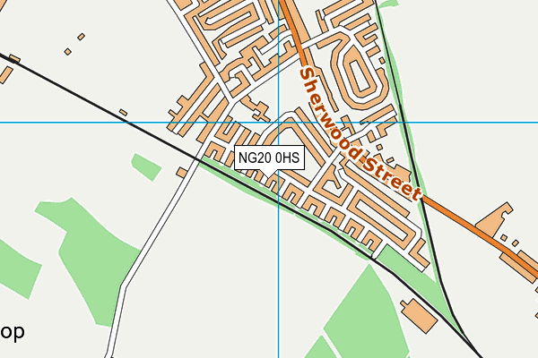 NG20 0HS map - OS VectorMap District (Ordnance Survey)