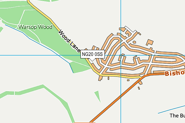 Church Warsop Sports And Social Club (Closed) map (NG20 0SS) - OS VectorMap District (Ordnance Survey)