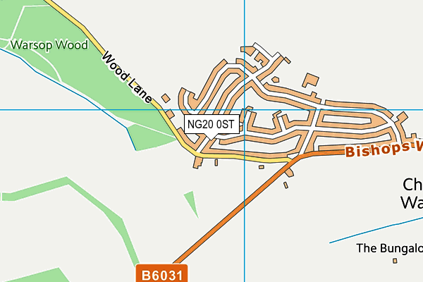 NG20 0ST map - OS VectorMap District (Ordnance Survey)