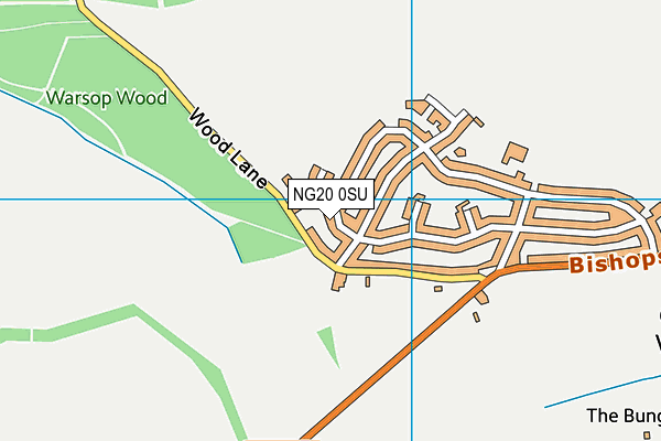 NG20 0SU map - OS VectorMap District (Ordnance Survey)