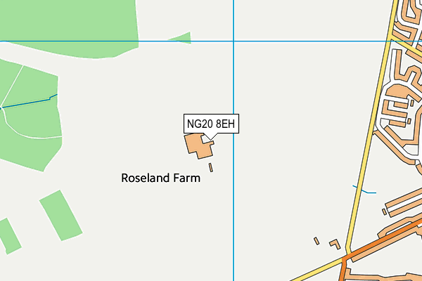 NG20 8EH map - OS VectorMap District (Ordnance Survey)