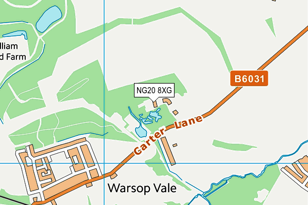 NG20 8XG map - OS VectorMap District (Ordnance Survey)