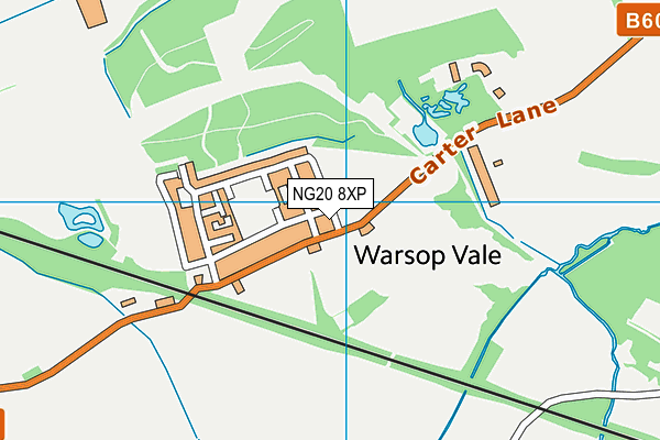 NG20 8XP map - OS VectorMap District (Ordnance Survey)
