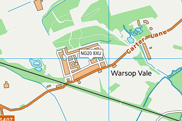 NG20 8XU map - OS VectorMap District (Ordnance Survey)