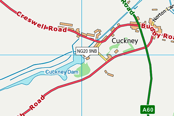 Cuckney CofE Primary School map (NG20 9NB) - OS VectorMap District (Ordnance Survey)