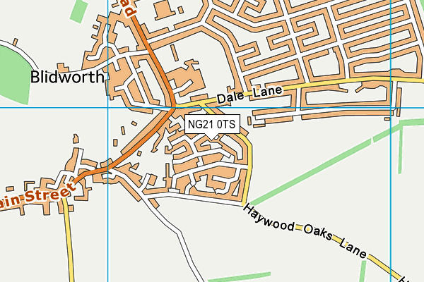 NG21 0TS map - OS VectorMap District (Ordnance Survey)