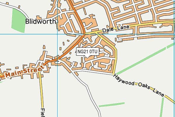 NG21 0TU map - OS VectorMap District (Ordnance Survey)