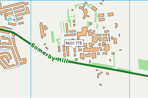 NG31 7TE map - OS VectorMap District (Ordnance Survey)