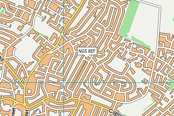 NG5 8EF map - OS VectorMap District (Ordnance Survey)