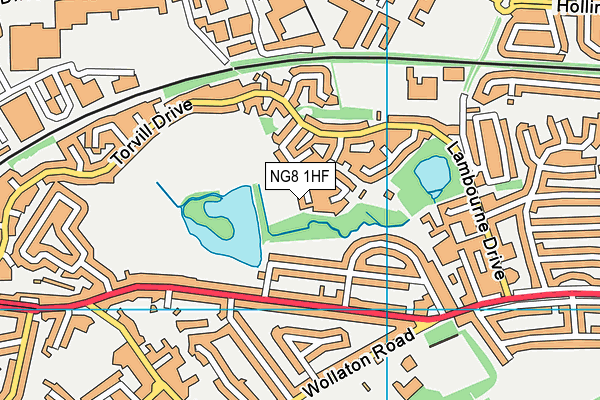 NG8 1HF map - OS VectorMap District (Ordnance Survey)