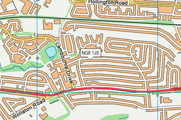 NG8 1JS map - OS VectorMap District (Ordnance Survey)