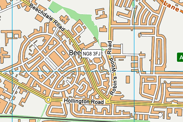 NG8 3FJ map - OS VectorMap District (Ordnance Survey)