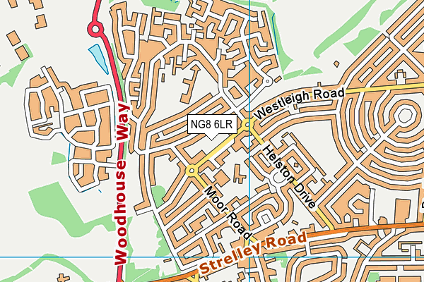 NG8 6LR map - OS VectorMap District (Ordnance Survey)