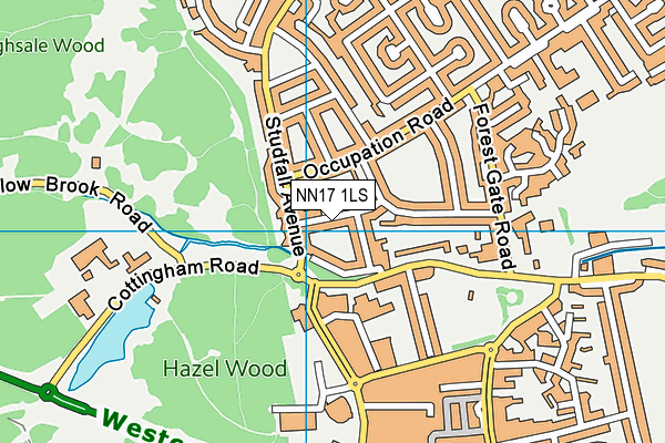 NN17 1LS map - OS VectorMap District (Ordnance Survey)