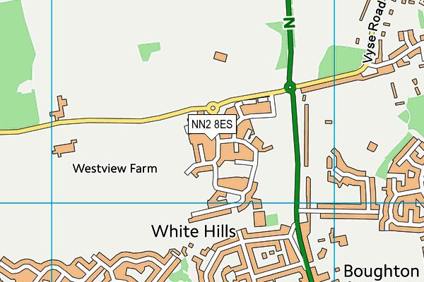 Buckton Fields Primary School map (NN2 8ES) - OS VectorMap District (Ordnance Survey)