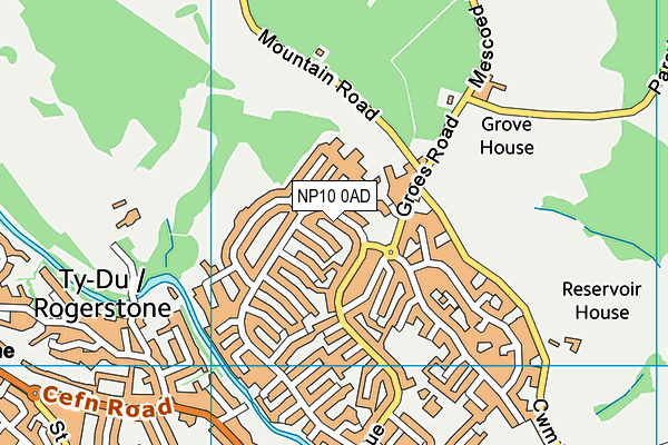NP10 0AD map - OS VectorMap District (Ordnance Survey)